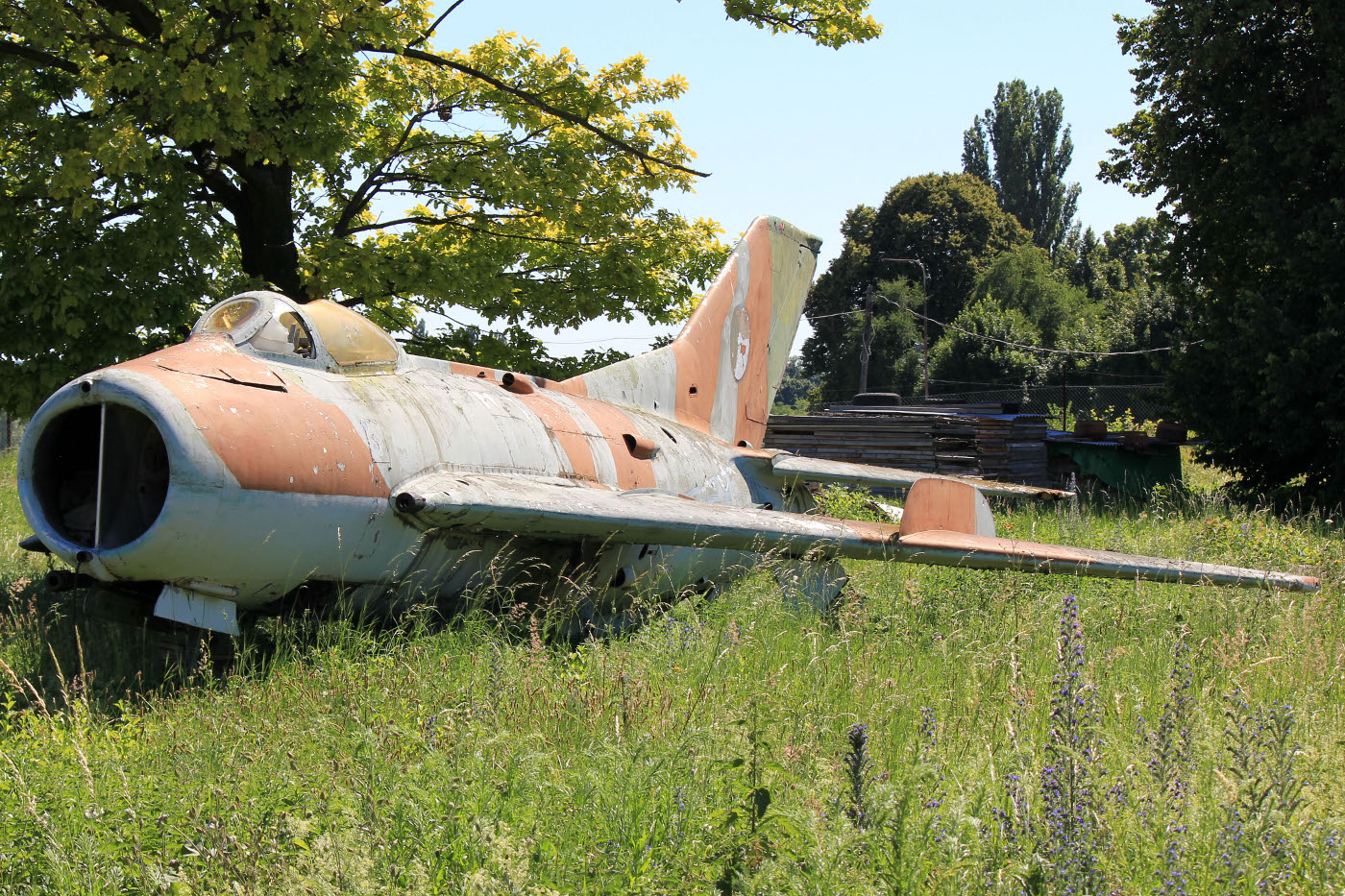 MIG 19S (1323)