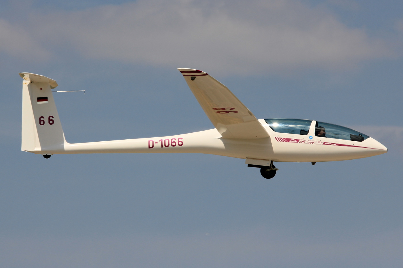 DG-1000S
